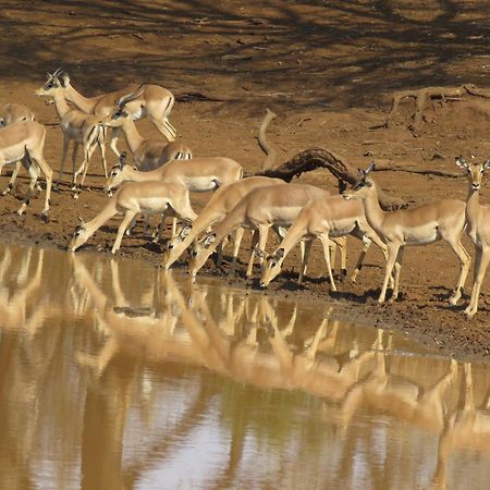 Sable Creek Safari Lodge Tzaneen Esterno foto