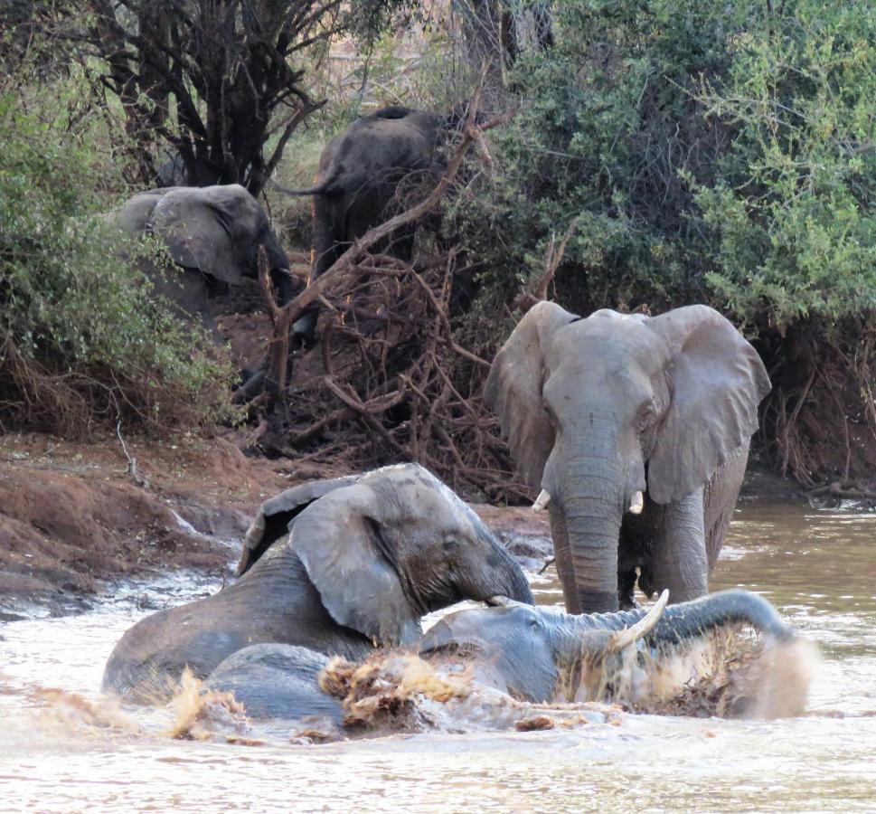 Sable Creek Safari Lodge Tzaneen Esterno foto