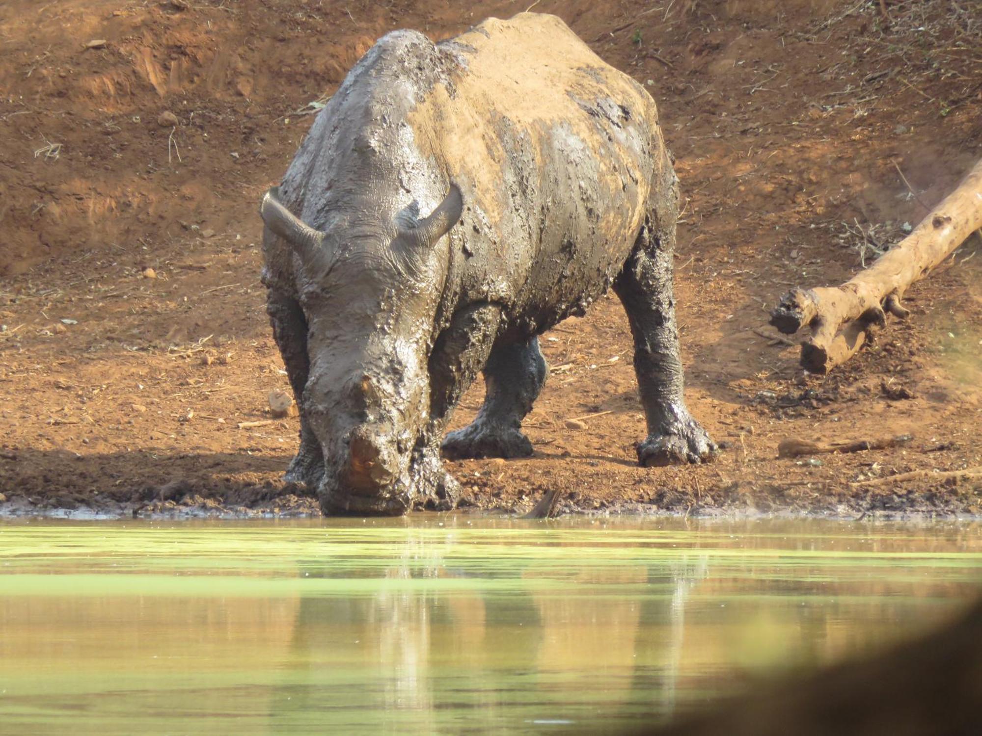 Sable Creek Safari Lodge Tzaneen Esterno foto