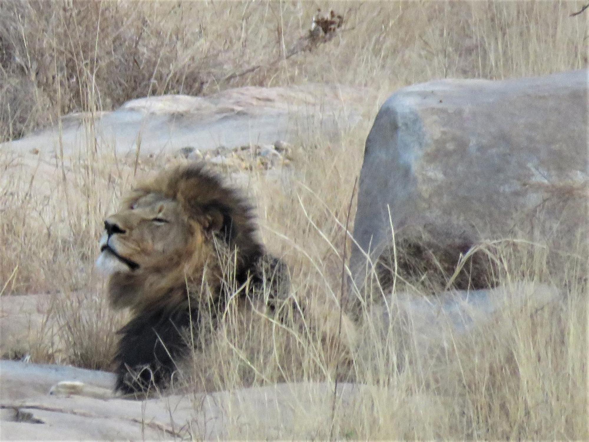 Sable Creek Safari Lodge Tzaneen Esterno foto