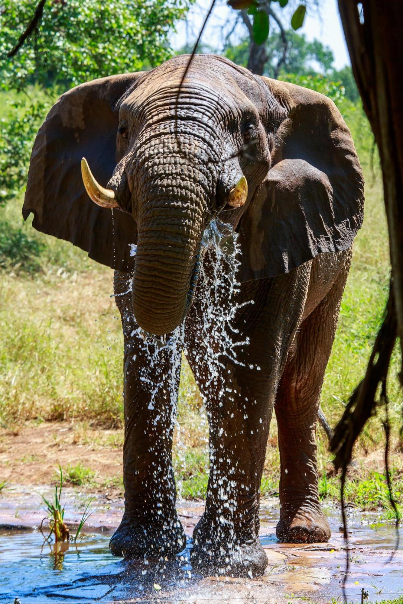Sable Creek Safari Lodge Tzaneen Esterno foto
