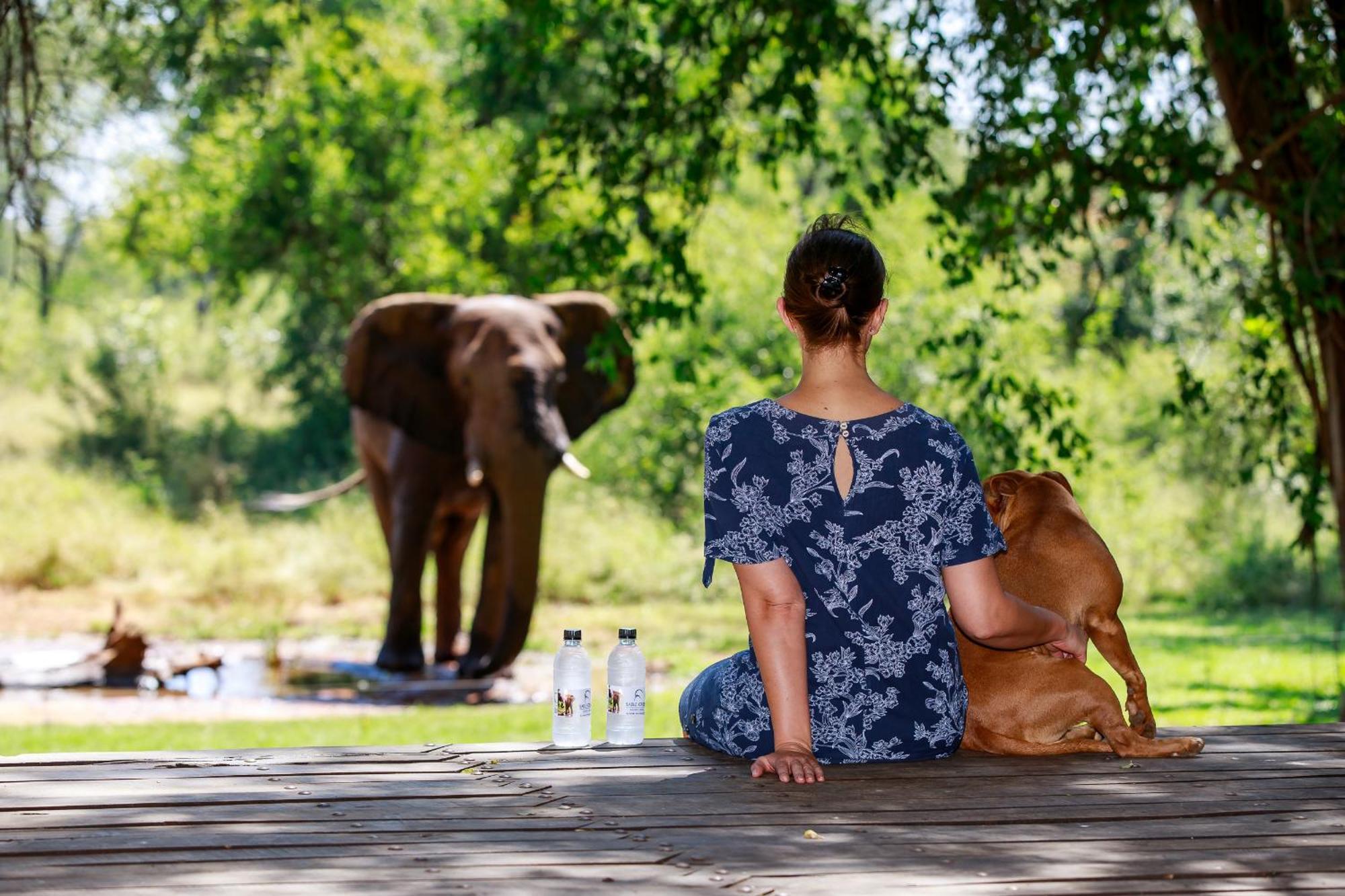 Sable Creek Safari Lodge Tzaneen Esterno foto