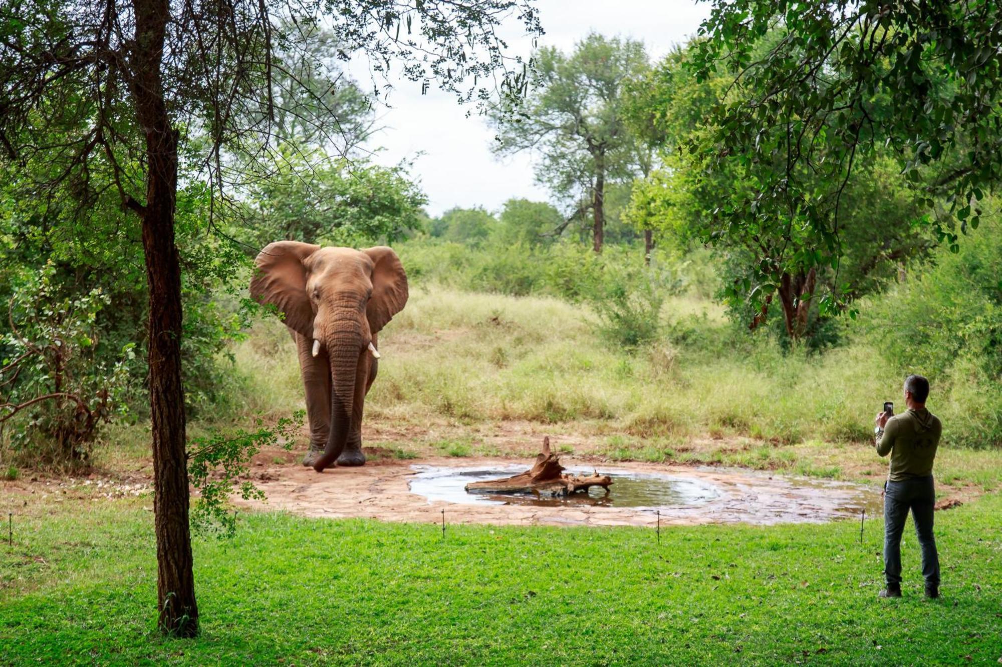 Sable Creek Safari Lodge Tzaneen Esterno foto